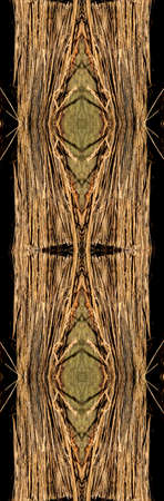 Wood surface texture. Tree trunk cut leaving the bark and all the fiber of the wood exposed.の写真素材