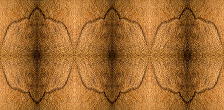 Wood surface texture. Tree trunk cut leaving the bark and all the fiber of the wood exposed.の写真素材