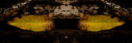 Yellow leaf on dry wood showing all its texture in nature amidst the green of the trees with a blurred background in parks, forests and Brazilian rainforest.の写真素材