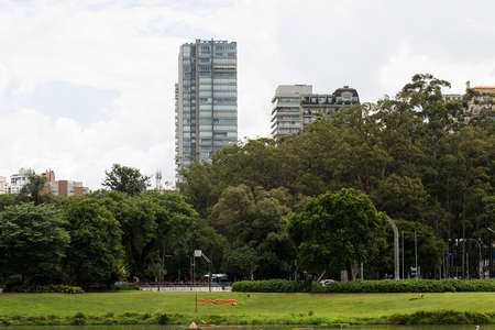 Landscape showing a lake where swans swim, green grass and the city in the background. Sao Paulo; Brazil.の写真素材