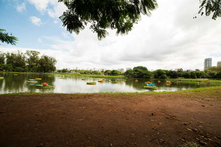 Landscape showing a lake where swans swim, green grass and the city in the background. Sao Paulo; Brazil.の写真素材