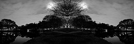 Night view of the vegetation around the lake at Parque do Ibirapuera, SÃ£o Paulo, Brazil.の写真素材