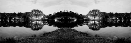 Night view of the vegetation around the lake at Parque do Ibirapuera, SÃ£o Paulo, Brazil.の写真素材