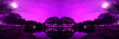 Night view of the vegetation around the lake at Parque do Ibirapuera, SÃ£o Paulo, Brazil.の写真素材
