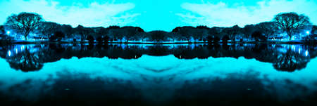 Night view of the vegetation around the lake at Parque do Ibirapuera, SÃ£o Paulo, Brazil.の写真素材