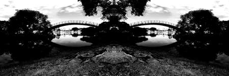Night view of the vegetation around the lake at Parque do Ibirapuera, SÃ£o Paulo, Brazil.の写真素材