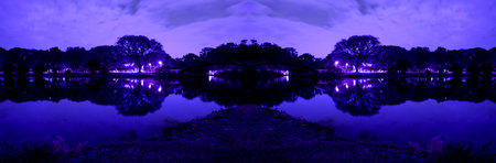 Night view of the vegetation around the lake at Parque do Ibirapuera, SÃ£o Paulo, Brazil.の写真素材