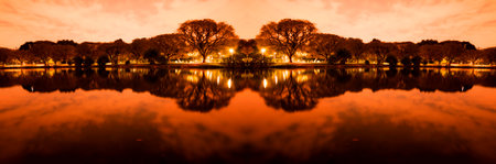 Night view of the vegetation around the lake at Parque do Ibirapuera, SÃ£o Paulo, Brazil.の写真素材