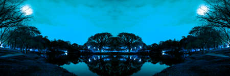 Night view of the vegetation around the lake at Parque do Ibirapuera, SÃ£o Paulo, Brazil.
