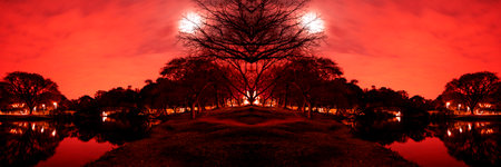 Night view of the vegetation around the lake at Parque do Ibirapuera, SÃ£o Paulo, Brazil.の写真素材