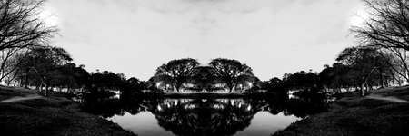 Night view of the vegetation around the lake at Parque do Ibirapuera, SÃ£o Paulo, Brazil.の写真素材