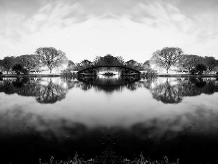 Night view of the vegetation around the lake at Parque do Ibirapuera, SÃ£o Paulo, Brazil.の写真素材