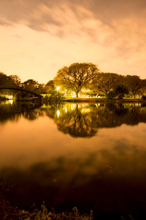 Night view of the vegetation around the lake at Parque do Ibirapuera, SÃ£o Paulo, Brazil.の写真素材