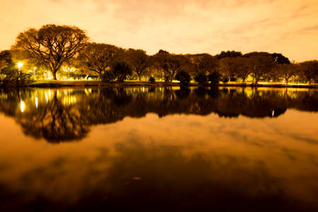 Night view of the vegetation around the lake at Parque do Ibirapuera, SÃ£o Paulo, Brazil.の写真素材