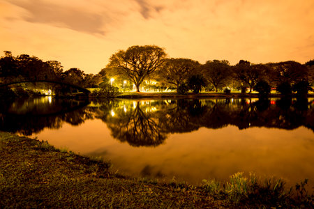 Night view of the vegetation around the lake at Parque do Ibirapuera, SÃ£o Paulo, Brazil.の写真素材