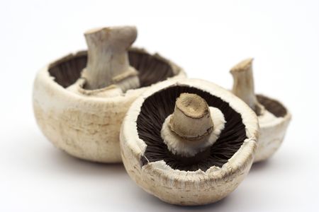 Close up of mushrooms over  white backgroundの写真素材