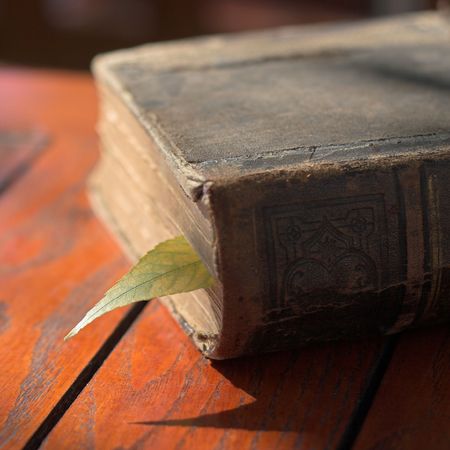 Picture of a old book and leafの写真素材