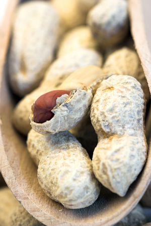  Peanuts close up shallow dof
の写真素材