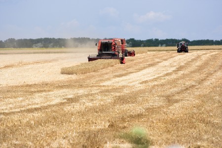   Machine harvesting the wheat field
の写真素材