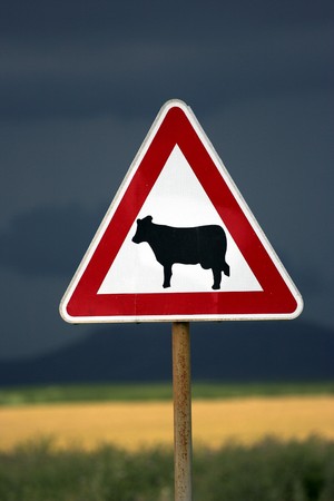 Traffic sign for Cattle Crossingの写真素材