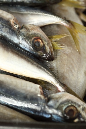 Close up of gutted bluefishの写真素材