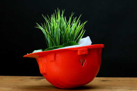 Green grass and red helmet- environmental friendly industry concept の写真素材