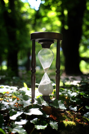 a hourglass in summer forest