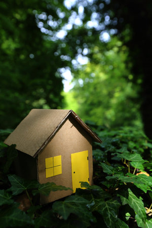 a cardboard house in the forestの写真素材