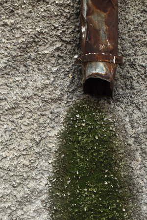 crushed downspout and mold