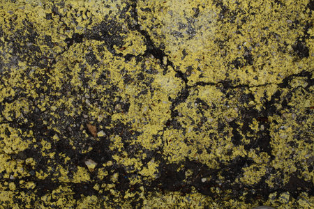 abstract background painted cracked asphaltの写真素材