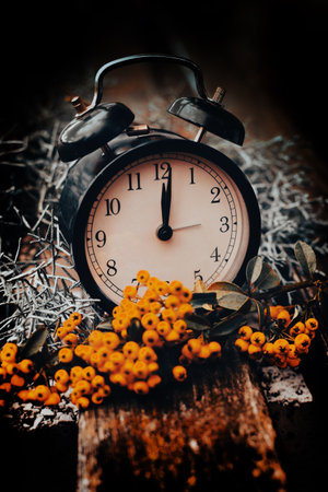 Midnight and the Pyracantha End of the day, beginning of the yearの写真素材