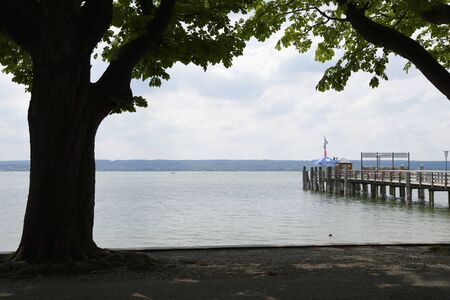 Tree at the Ammerseeの写真素材