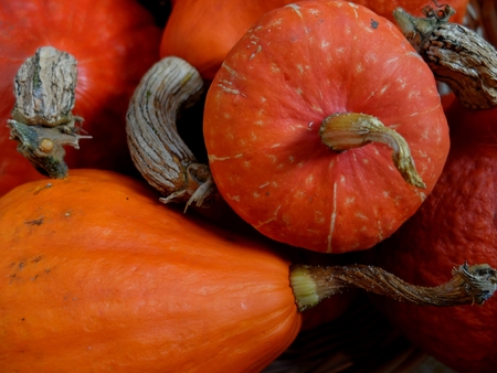 This year's harvestの写真素材