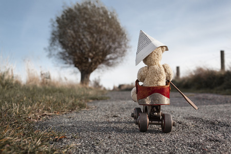 A teddy bear drives by a roller-skate vehicle on a small road at the countrysideの写真素材