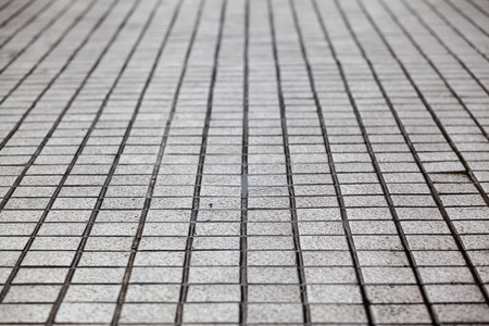Detail of a patterned walkwayの写真素材