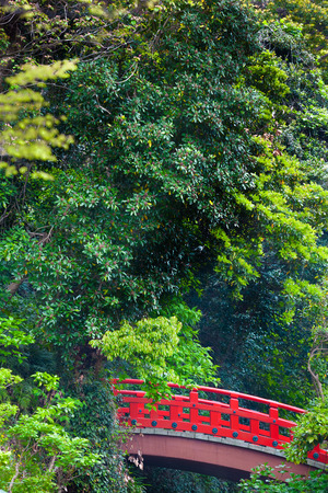 A little red japanese bridge at a green forest