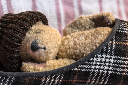 Little teddy bear sleeping in a slipper with a sock on the headの写真素材