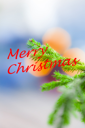 Blurred christmas holiday background with lights and twigs of conifer tree and red text merry christmasの写真素材