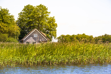 Lonely wooden house near a lake hidden under trees and behind the tall grass (copy space)の写真素材