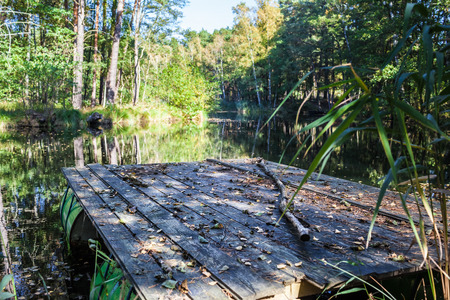Selfmade raft built by old oil barrels and wooden planks, swimming on a small tranquil lake hidden in forest for leisure activity adventureの写真素材