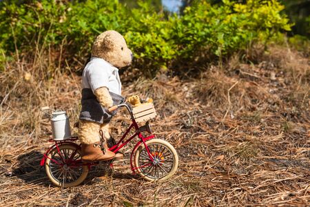 Cute miniature scene: teddy bear father riding red bicycle at way in forest with his little child inside basket and milk can on rack (copy space)の写真素材