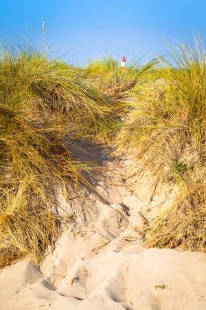 Dune landscape at sunny day in Mecklenburg, Germany - far away lighthouse at horizon (copy space)の写真素材