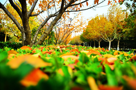 Early autumn