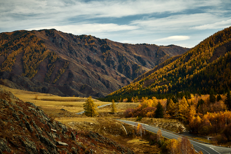 Asphalt road to the mountains of Altai passing through the autumn landscape at clear and sunny dayの写真素材