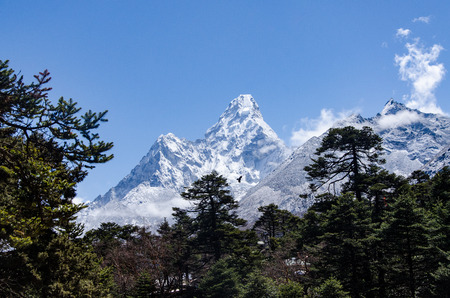 beautiful view of Ama Dablam from trek to Everset and flying eagle in a sunny day from the himalan forest.の写真素材