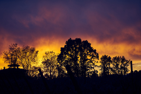 Silhouette of trees against sunset sky in bright red-yello-orange tonesの写真素材