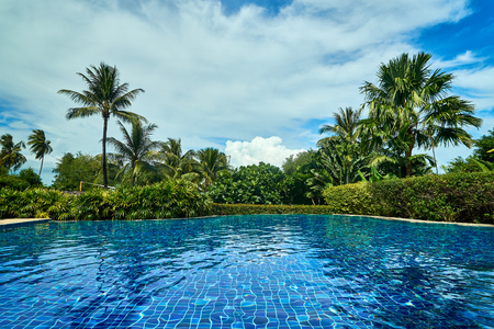 outstandidng view of Swimming pool in thailand. with clear water and palms aroundの写真素材