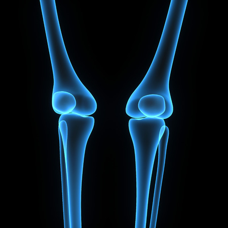 Knee jointsの写真素材