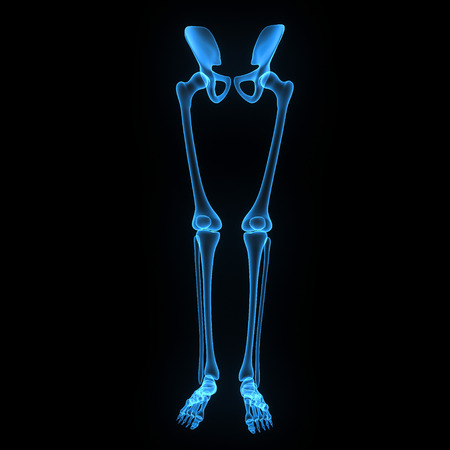 Skeleton legs with hipの写真素材