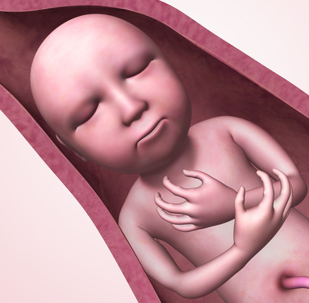 Babyの写真素材
